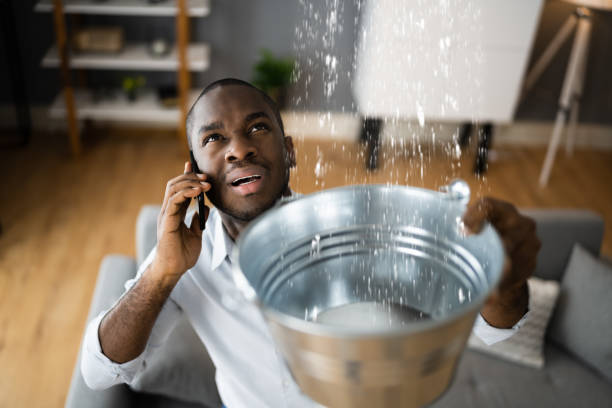 Best Water damage contractors near me  in Glendale, CA