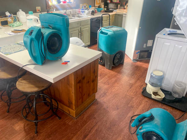 Best Water damage restoration services  in Glendale, CA