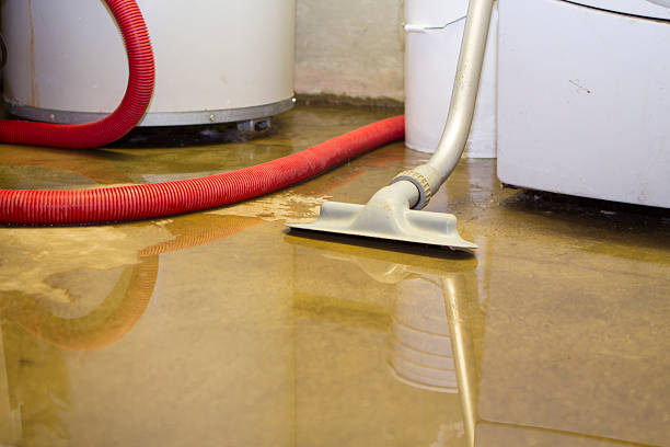 Best Water damage mitigation services  in Glendale, CA