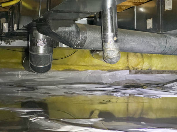 Best Local water damage restoration  in Glendale, CA